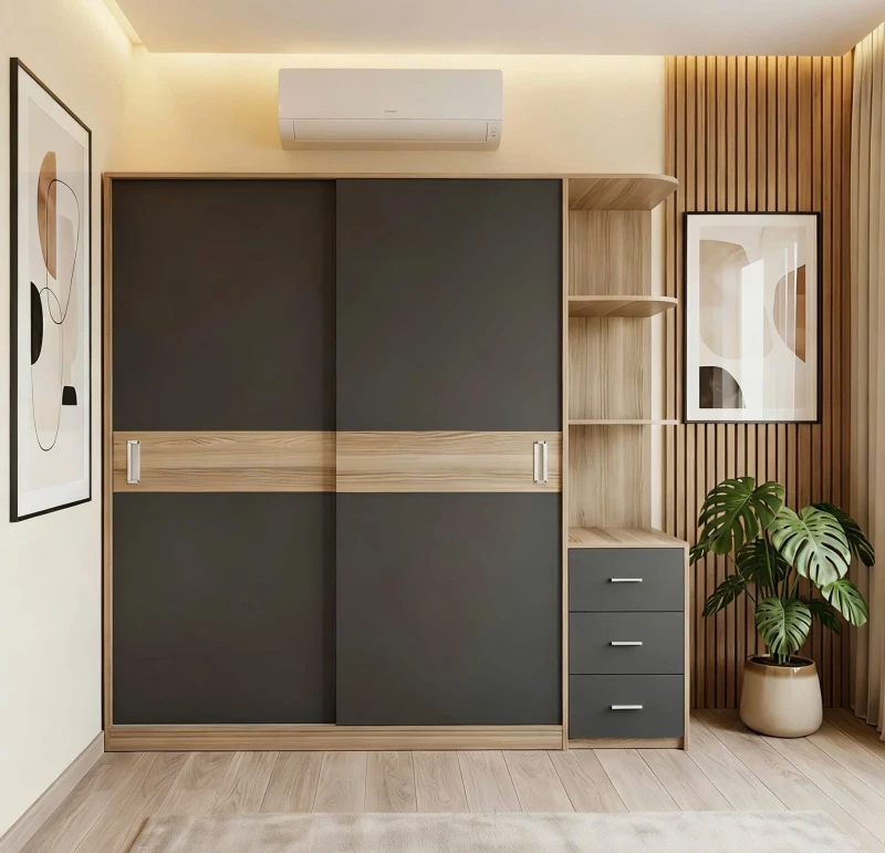 Tủ gỗ 2 cánh lùa tg210